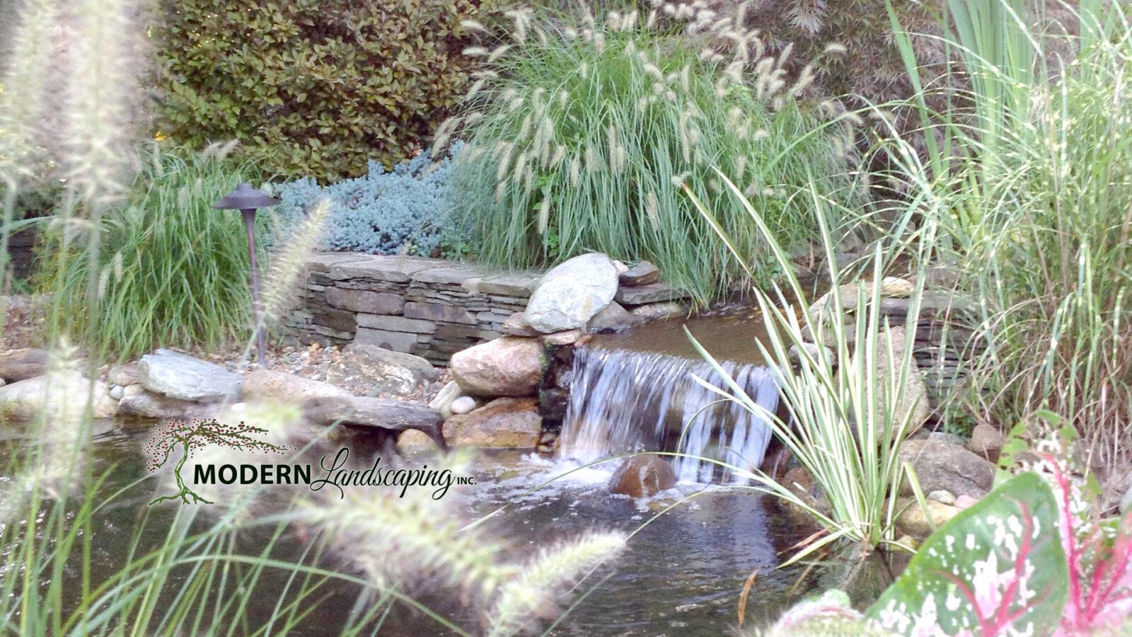 Evolving Landscapes: Modern Landscaping’s Growth and Innovation Since 2016